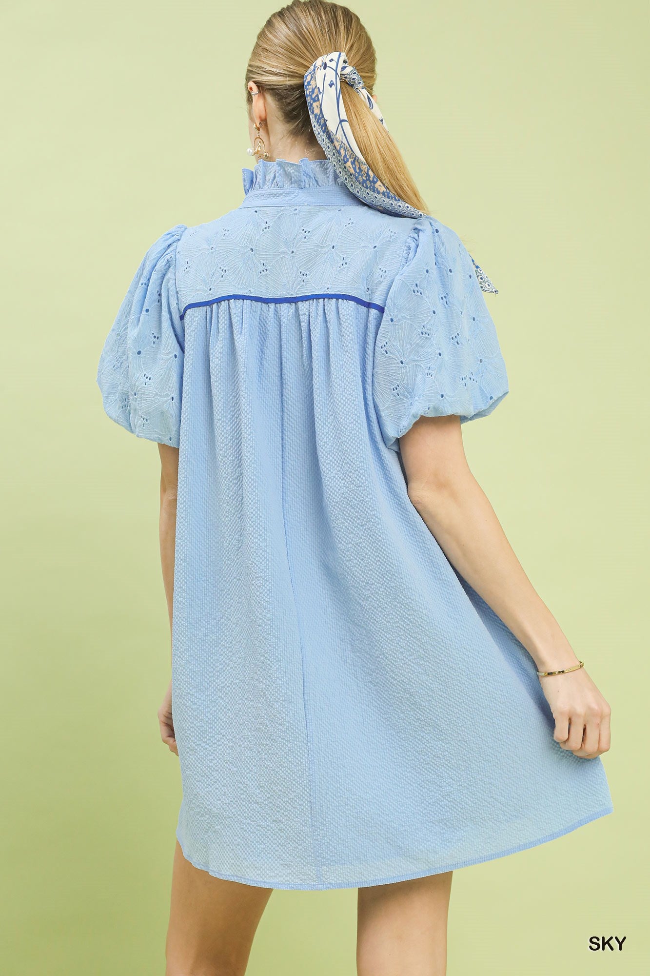 Woman wearing a light blue dress with embroidered details on a green background