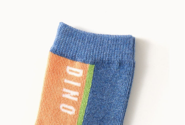 Dinosaur Socks for Boys 5 Pairs